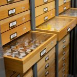 Entomology Drawers