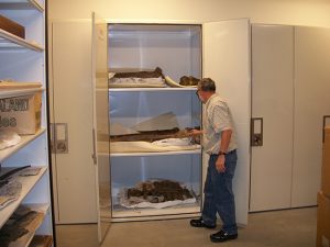 Zoology Museum Storage Cabinet