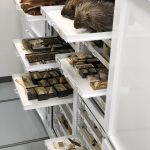 Zoology Museum Storage