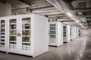 Visible Museum Storage Cabinet