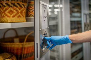 Visible Museum Storage Cabinet