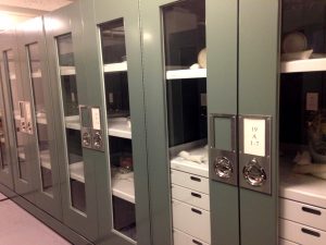 Visible Museum Storage Cabinet