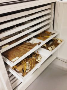 Zoology Museum Storage Cabinet