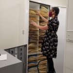 Herbarium Cabinet